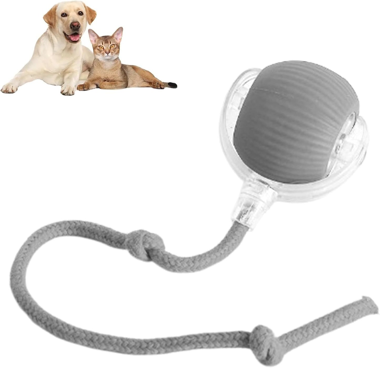 CoreNest® Interactive Pet Toy Ball