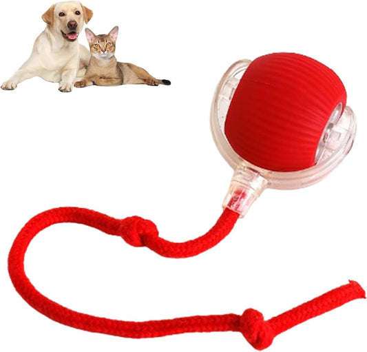 CoreNest® Interactive Pet Toy Ball