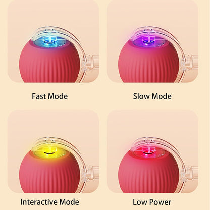 CoreNest® Interactive Pet Toy Ball